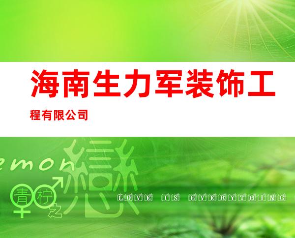 海南生力军装饰工程有限公司